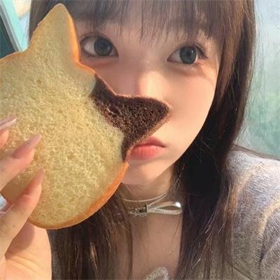老鼠开会